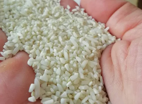 خرید برنج لاشه گلستان + قیمت فروش استثنایی